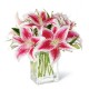 Lillies