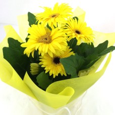 Gerbera Plant – yellow